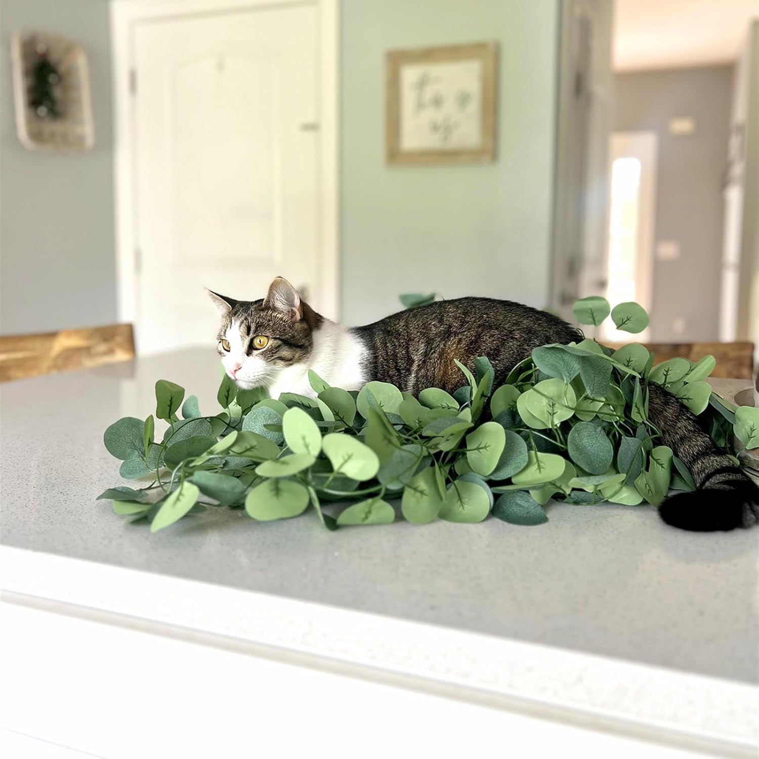 CQURE 72 Pack 504Ft Eucalyptus Garland,Artificial Eucalyptus Leaves Table Greenery Garland Wreath Vines for Wedding Party Table Fireplace Bedroom Wall Room Decor