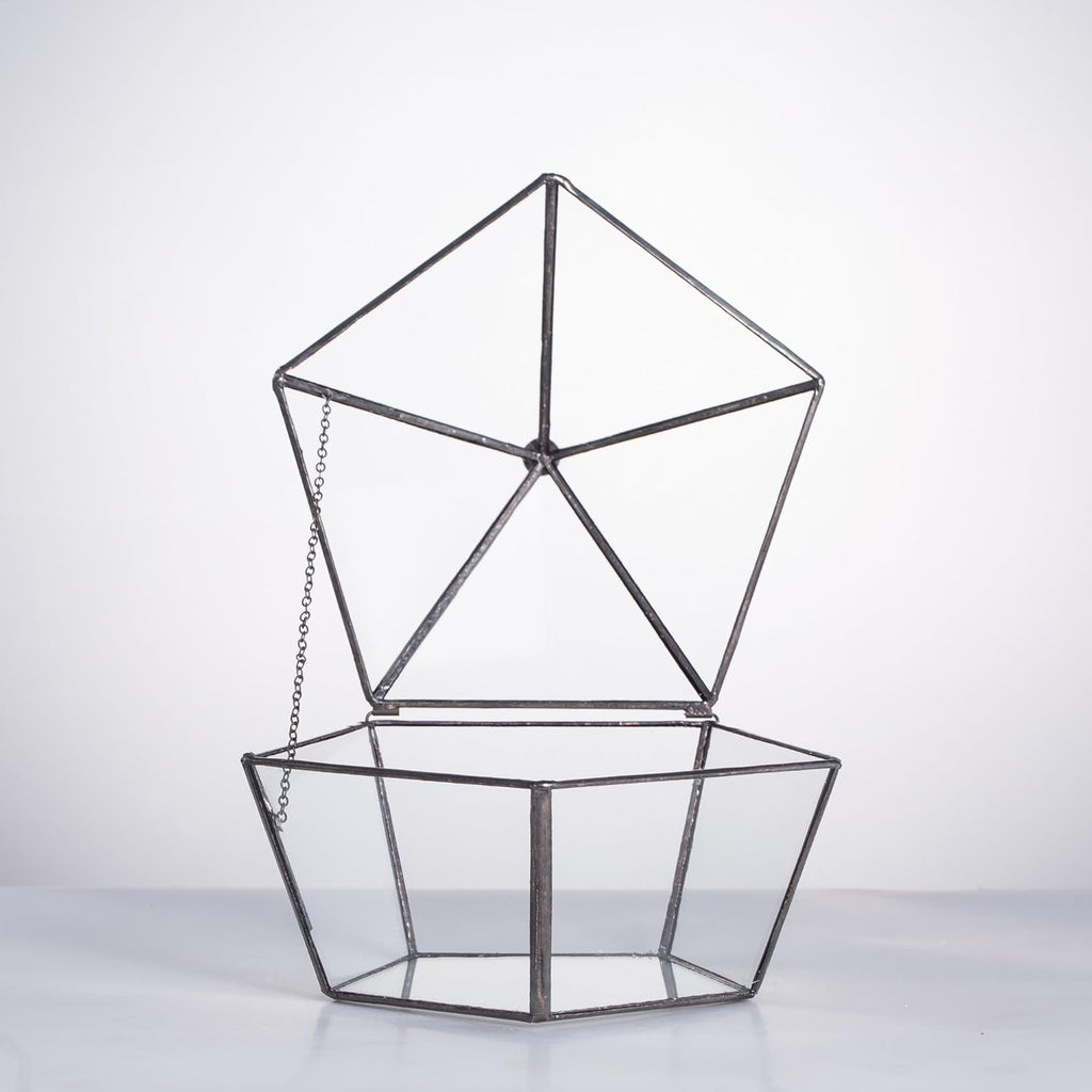 NCYP Modern Clear Glass Jewelry Box with Swing Lid, Geometric Pentagon Shape Terrarium for Succulent Fern, Garden Display Planter Tabletop Decor Centerpiece Container (NO Plants)