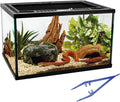 Reptile Glass Tank 16"x11"x9" Terrarium with Top Opening and Screen Ventilation for Leopard Gecko,Lizard,Hermit Crab,Snake,Spider,Frog,Bearded Dragon,Turtle with Feeding Tongs