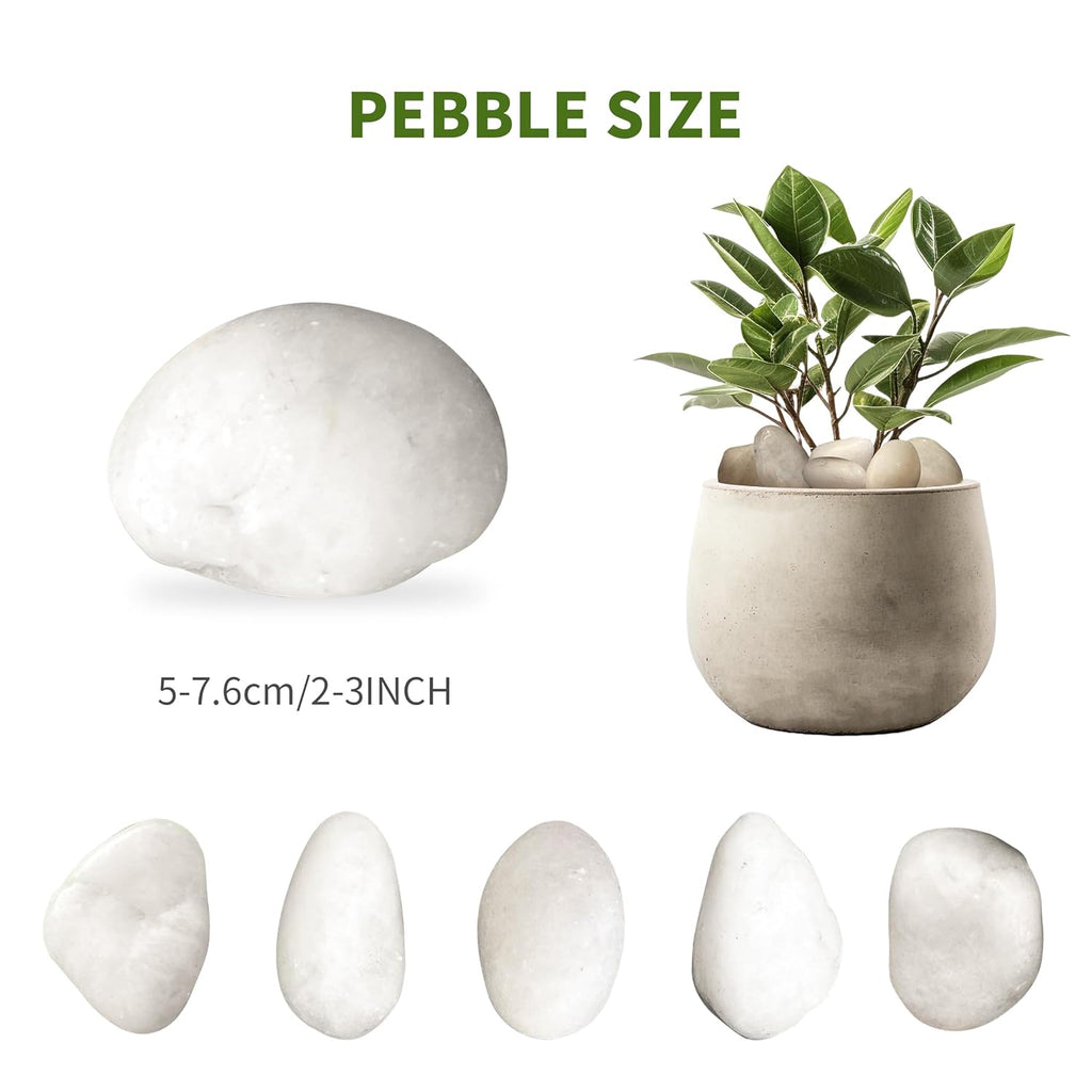 40lbs Large White River Rocks for Garden, 2-3 Inch Smooth Natural Pebbles for Landscaping, Aquarium, Fish Tank, Flower Pots, Water Fountains, Pathways, Backyard Decor