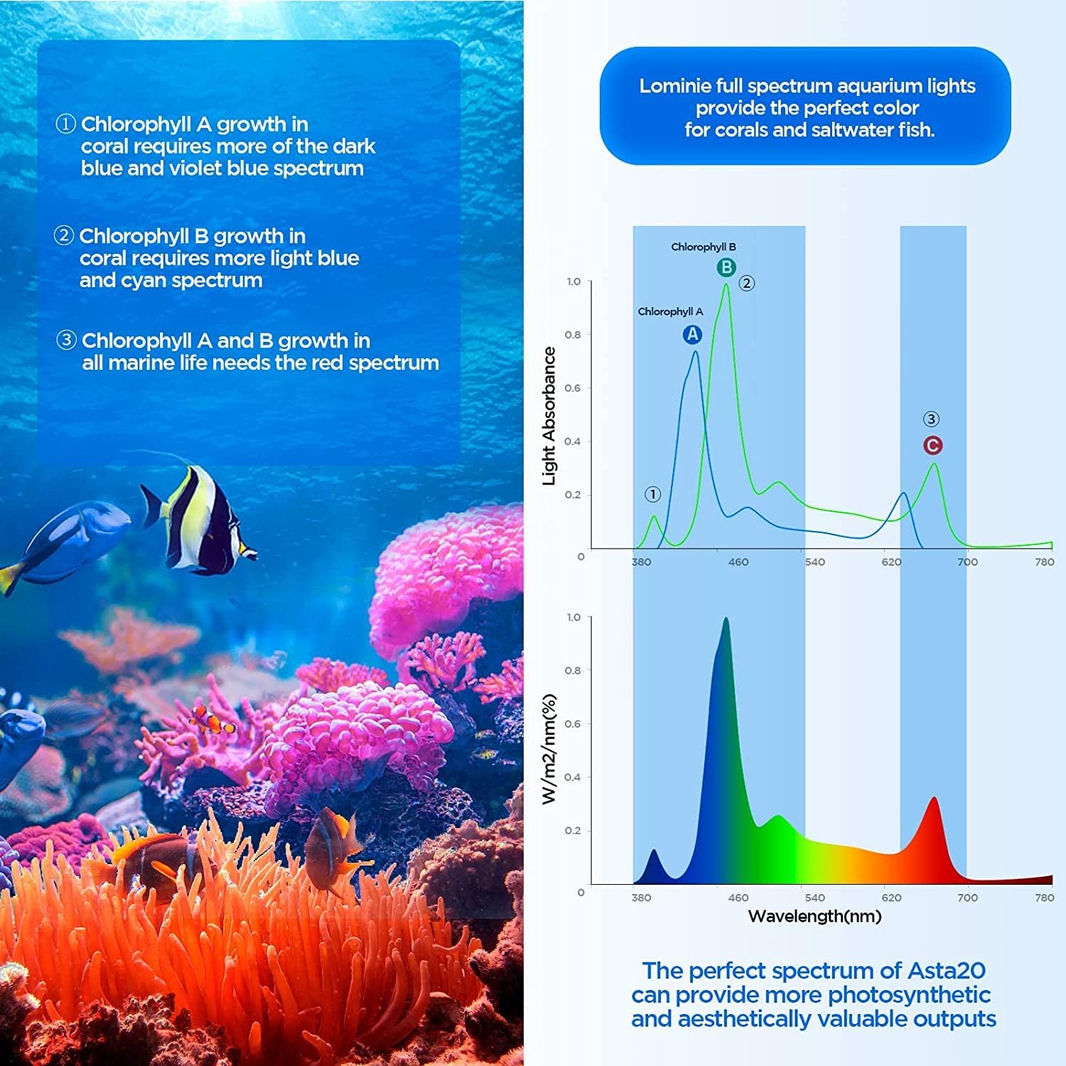Lominie LED Aquarium Light, Full Spectrum Fish Tank Clip-on Saltwater Planted Light With Adjustable Gooseneck for Coral Tanks, Dimmable Nano Refugium Supports Remote WiFi
