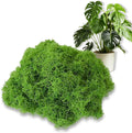 Artificial Faux Moss, 1.76 oz Fake Green Moss for Crafts Preserved, Artificial Moss for DIY Scenery, Fake Moss Decor Decorative Table, Centerpieces Decor, Fairy Garden, Floral Wedding