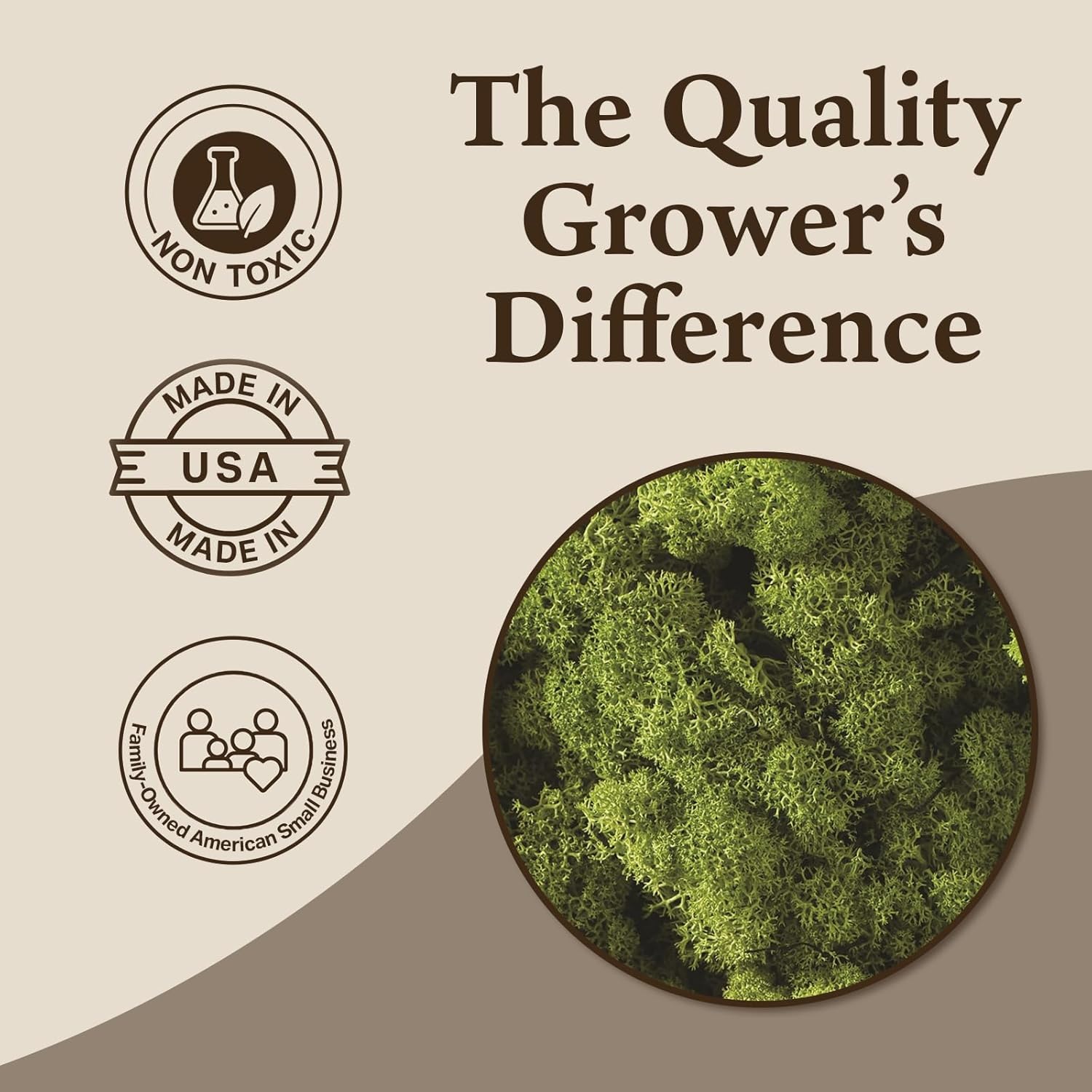 Quality Growers - Preserved Reindeer Moss - Moss for Crafts, Home Decor, Art, Design & DIY Projects - Non-Toxic - USA Made (Spring Green, Medium, 2-Pack)