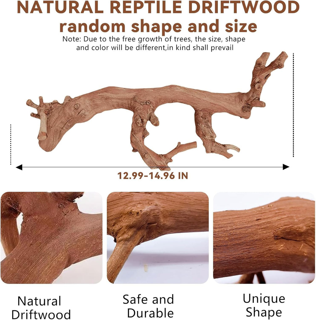 BNOSDM 2PCS Reptile Wood Branches Decor,Lizard Habitat Natural Wood Decoration,Snake Climbing Branch Accessories,Terrarium Tree Trunk Ornament for Bearded Dragon Gecko Frog Chameleon Spider