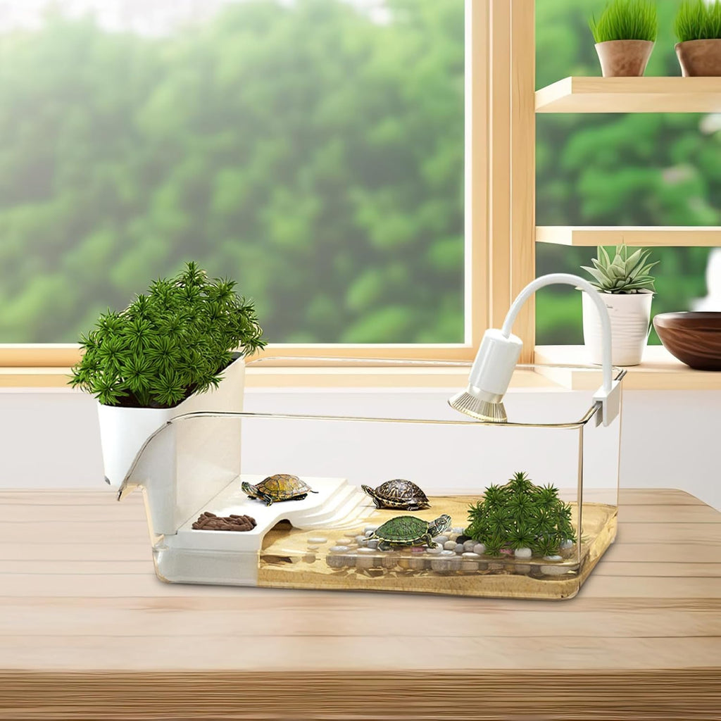 Clear Turtle Habitat - Mini Crab Feeding Area, Decorative Basking Platforms, Small Tortoise Terrapin Enclosure | Educational Reptile Terrarium Setup for Pet Adoption Preparation Eco Friendly Aquarium