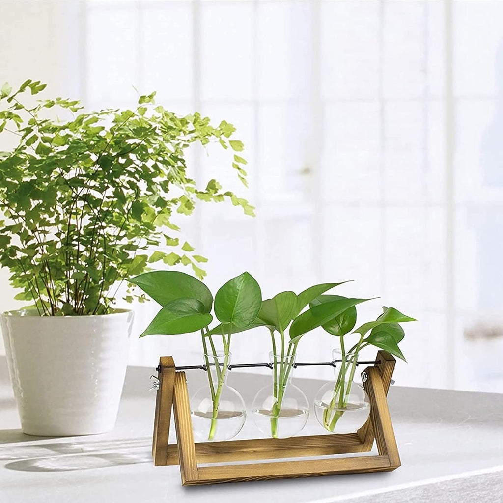 Kingbuy Desktop Glass Planter Iron and Wooden Stand Plant Terrariums for Indoor Office Desk Decor Accessories, 3 Bulb Vases, Brown