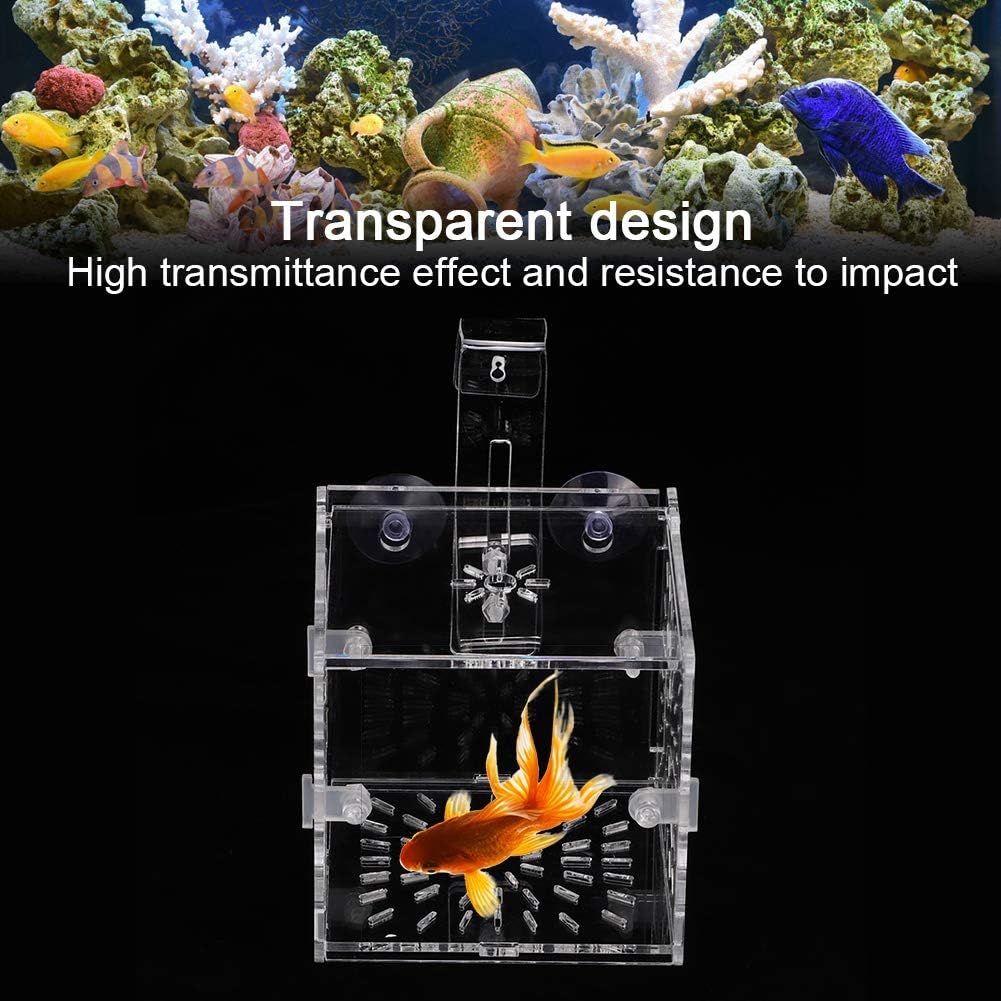 GLOGLOW Aquarium Breeding Isolation Box, Transparent Acrylic Fish Isolation Box Fish Separator with Suction Cups for Small Baby Fishes Shrimp Clownfish Guppy(10CM*10CM*10CM)