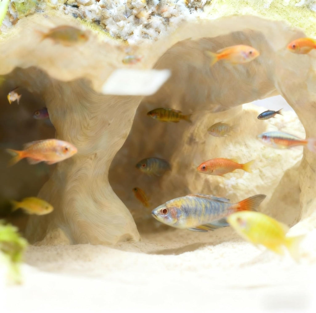 Aquarium Cave Tunnel 3D Printed, 6.7" Under Gravel Fish Hideout, Sinking Substrate-Friendly Decor with Viewing Ports for Pleco, Shrimp & Corydoras