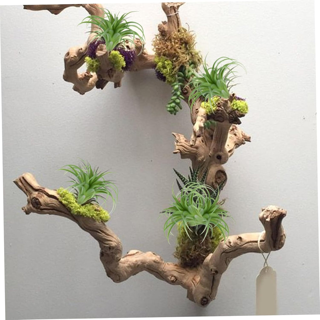 Artificial Air Plants 4Pcs 6x5 Realistic Air Plants PE Artificial Succulents Low Maintenance Tillandsia DIY Faux Greenery for Flower Arrangement
