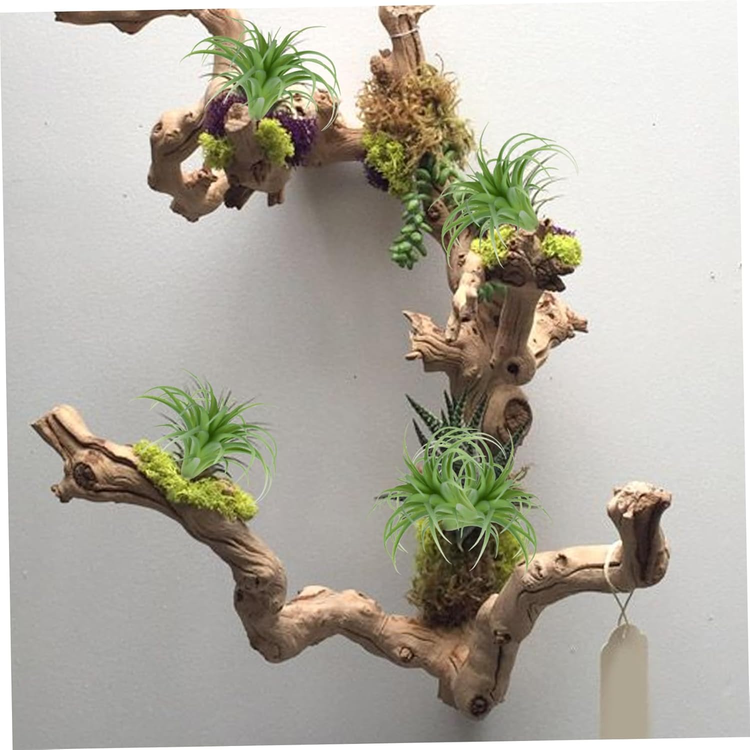 Artificial Air Plants 4Pcs 6x5 Realistic Air Plants PE Artificial Succulents Low Maintenance Tillandsia DIY Faux Greenery for Flower Arrangement