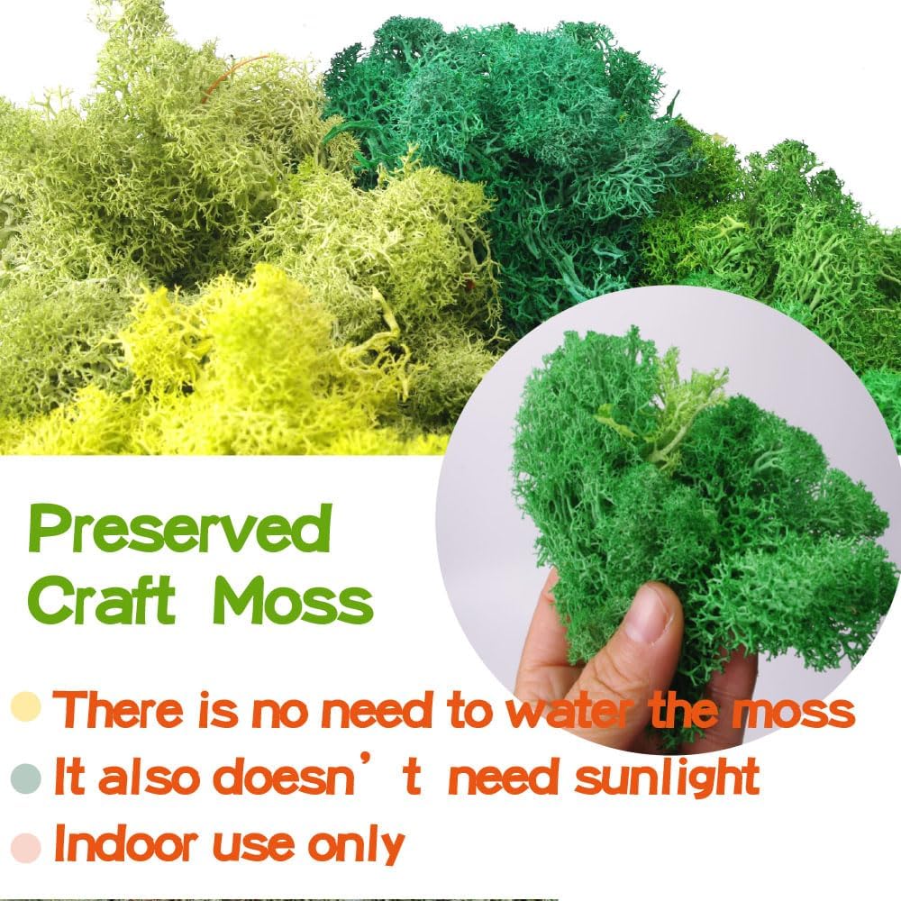 Preserved Moss-3.5 OZ Moss for Crafts Faux Moss Decor Natural Green Moss for Art Wall Florist Decor(Turquoise 3.5 OZ)