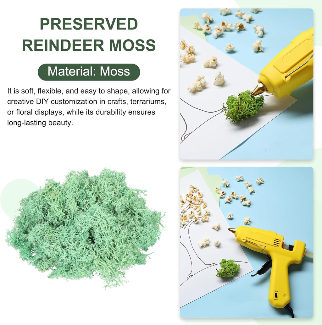 MECCANIXITY 4.6oz Preserved Reindeer Moss, Green Decorative Artificial Fake Moss for Potted Plants Indoor Crafts Lichen Centerpieces Decor