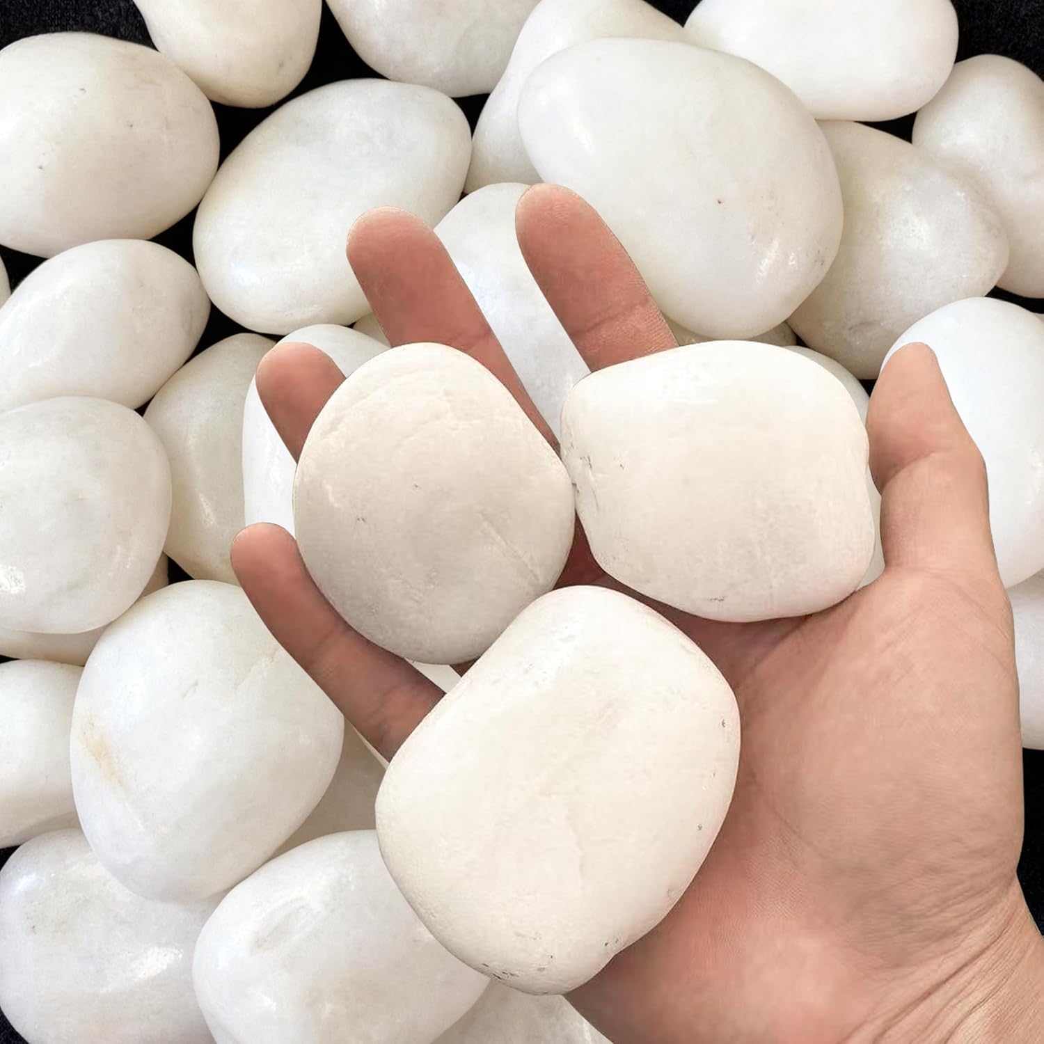 40lbs Large White River Rocks for Garden, 2-3 Inch Smooth Natural Pebbles for Landscaping, Aquarium, Fish Tank, Flower Pots, Water Fountains, Pathways, Backyard Decor