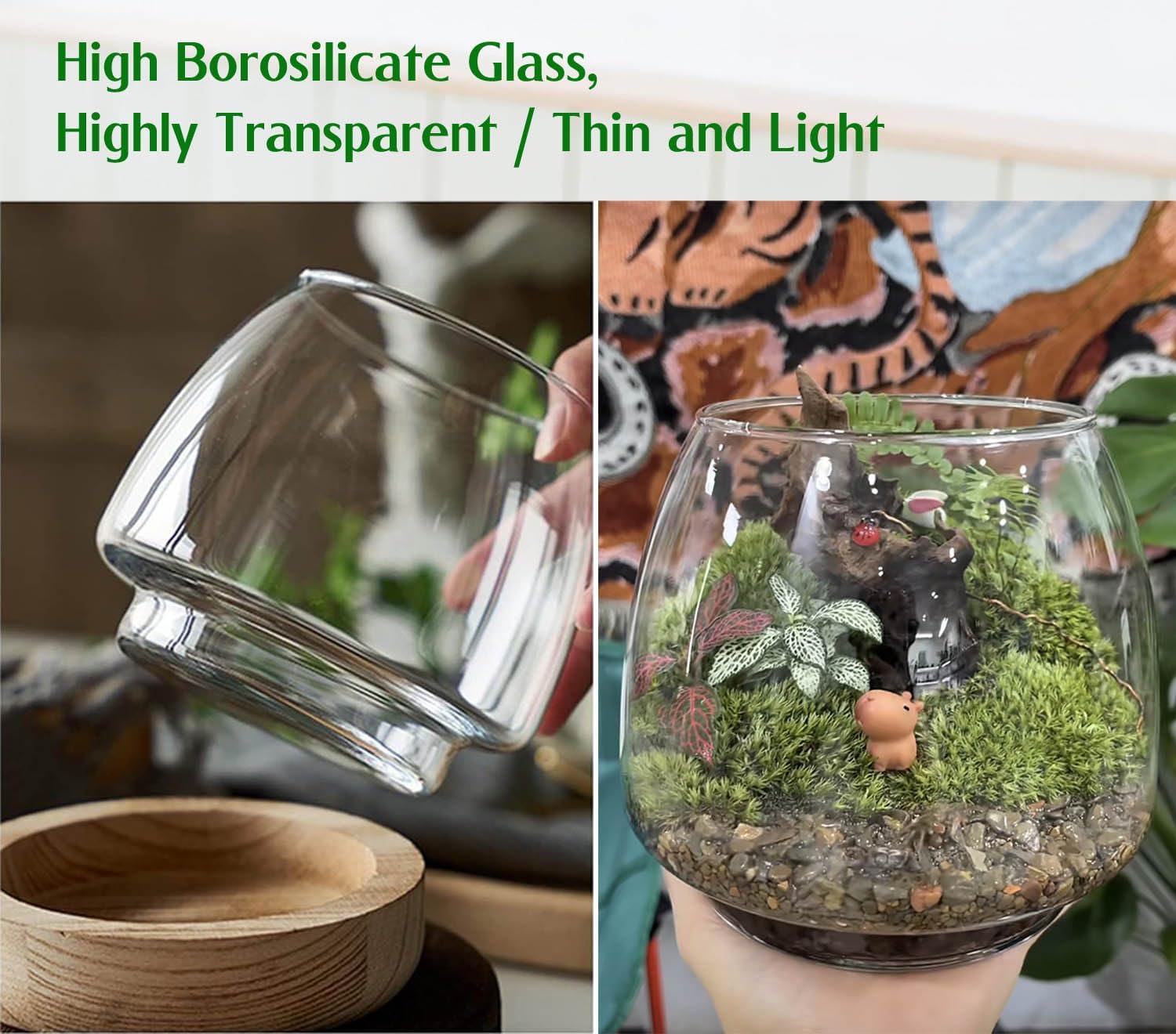 6 Inch Plant Glass Terrarium with Removable Wooden Base for Succulents Glass Bowl for Air Plant Cactus Moss (Plants not Included)