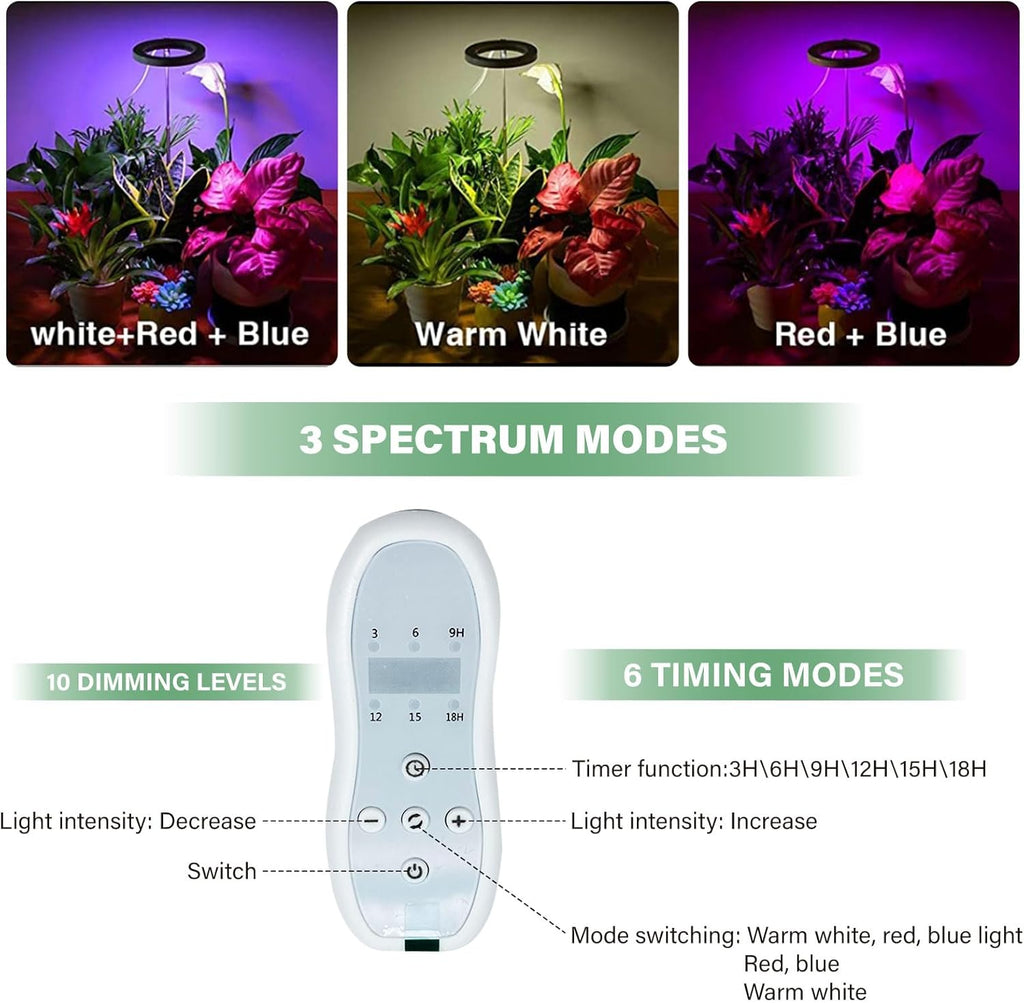 Venus Fly Trap Terrarium,Butterwort Plant Live Pot,Not Live Plant, Automatic Irrigation System Keeps Potted Soil Moist Makes a Great Gift Choice, Home Office Decor