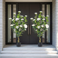 Artificial Camellia Tree 2 Pack, 3FT Faux Camellia Plant in Pot, 36 inch Fake Potted Camellia Flower Tree Plastic Camellia Tree for Modern Home Office Living Room Floor Decor Indoor, White