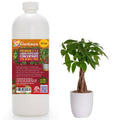 Premium Liquid Money Tree Plant Fertilizer - 3-1-2 Concentrate for Indoor Plants and Flowers by Gardenera | Organic Plant Food for Money Tree - 32oz