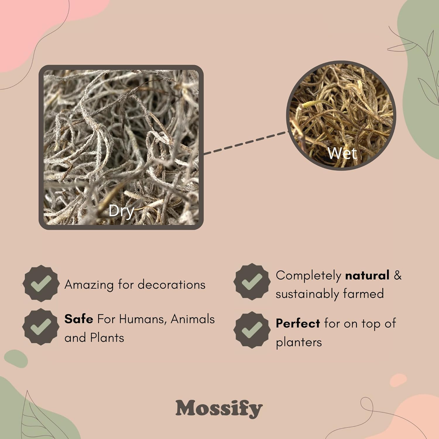 Mossify Premium Spanish Moss for Plants Indoor & Outdoor 150g, 5.3Oz - Natural Dried Preserved Moss for Crafts, Terrariums, Floral Arrangements, Garden & Home Décor – Humidity Retaining Spanish Moss