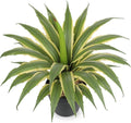 Hollyone Large Artificial Agave Plants 16.9" Tall Fake Agave Plant in Black Pot with Real Stone Pebbles Faux Succulent Aloe Tropical Plants Potted for Indoor Outdoor Home Patio Garden Decor
