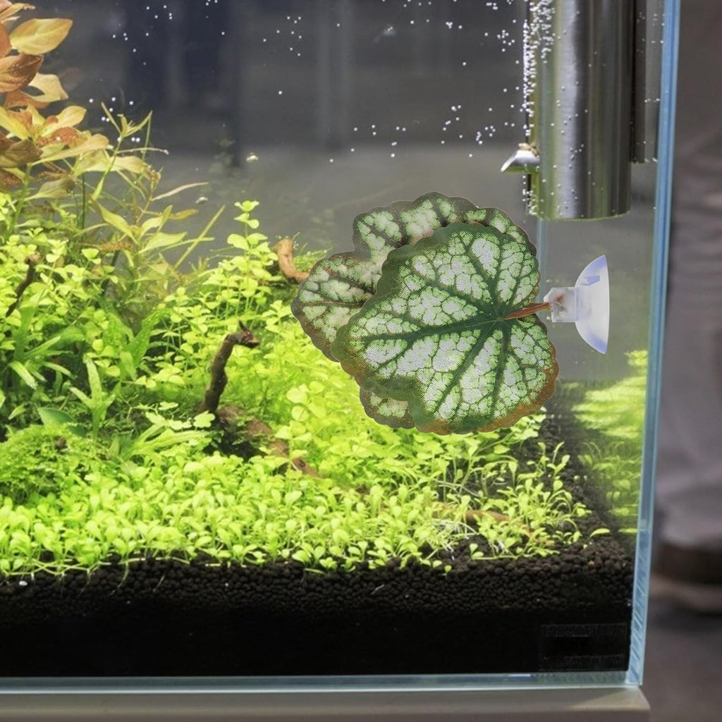 balacoo 2 Pcs Betta Fish Leaf Pad: Aquarium Betta Leaf Hammock with Suction Cup, Simulating Natural Habitat for Beta Resting Spawning Breeding Sleeping (Green)
