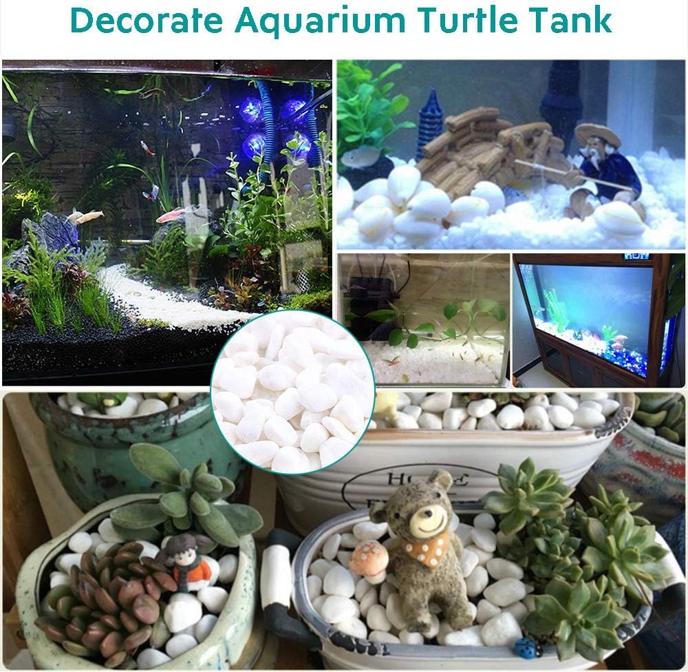 WAYBER 2 Lb/920g White Stones Decorative Pebble Rock Sand for Aquarium/Fish Turtle Tank/Vase Filler/Succulent Plants Decoration (Fill 2 Cups)