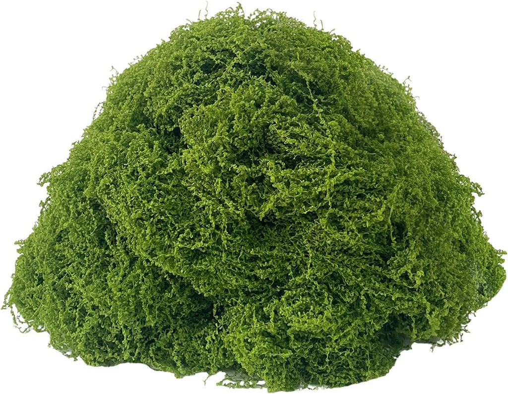 KEYUSHOP Fake Green Moss for Potted Plants 5.3 OZ Preserved Reindeer Moss Craft Decorative Artificial Moss for DIY Decorative Moss Table Centerpieces Decor Wall Art