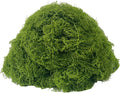 KEYUSHOP Fake Green Moss for Potted Plants 5.3 OZ Preserved Reindeer Moss Craft Decorative Artificial Moss for DIY Decorative Moss Table Centerpieces Decor Wall Art