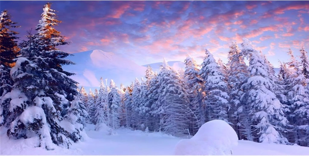 YongFoto Fish Tank Background 48x18 Inch Winter Snow Scene Aquarium Snowfield Pine Forest Rime Sunglow Rosy Clouds Backdrop Reptile Terrarium Bearded Dragon Habitat