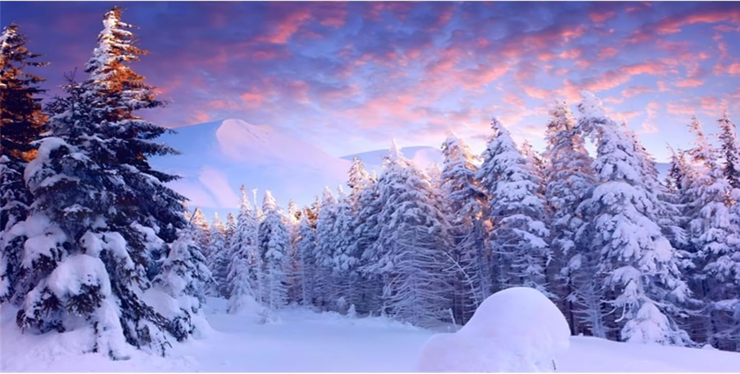 YongFoto Fish Tank Background 72x16 Inch Winter Snow Scene Aquarium Snowfield Pine Forest Rime Sunglow Rosy Clouds Backdrop Reptile Terrarium Bearded Dragon Habitat