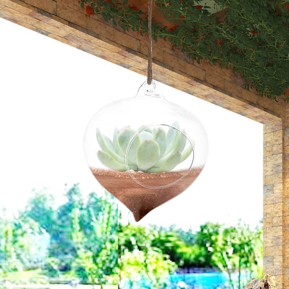 Wall Hanging Planter Terrarium Container, Teardrop Shaped Air Plant Holder, Succulents Hanging Glass Globes Oblate Flower Vase for Hydroponics Plants