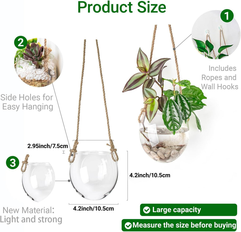 Propagation Station, Plants Terrarium, Plants Lover Gifts for Women,Plant Cutting Holder Home décor,Gifts for Women,House Warming New Home-2 Bowl Shape