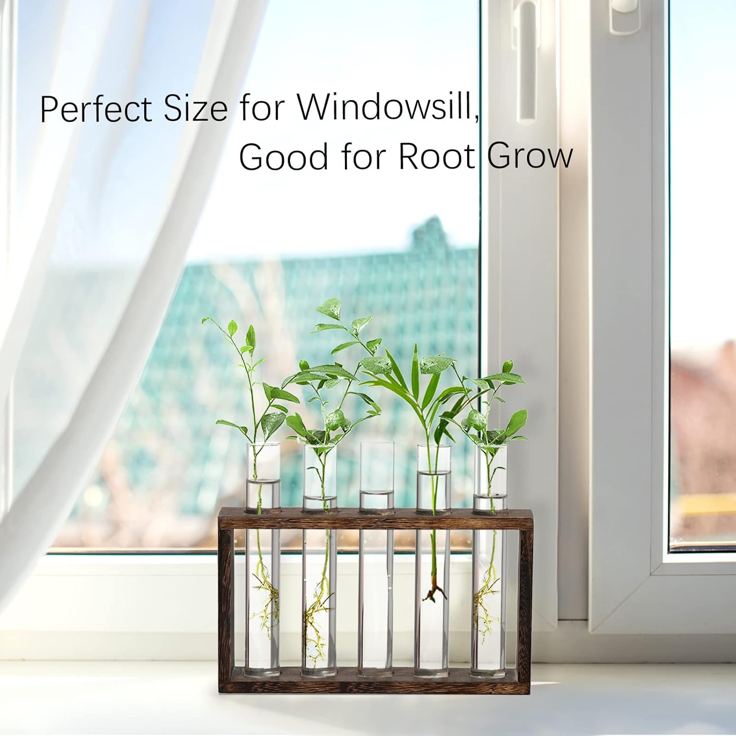 XXXFLOWER Plant Terrarium Wooden Stand with 5 Test Tubes,Glass Planters for Indoor Plants,Plant Lover Gifts for Women Garden Office Decoration