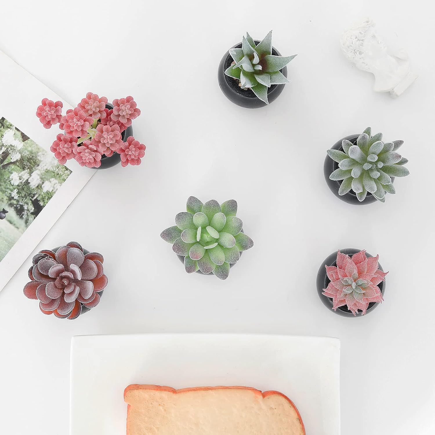 Nubry Mini Fake Plants in Ceramic Pots Artificial Small Succulents Potted Faux Assorted Lifelike Plants for Home Office Desk Decor, Set of 6 (Black Ceramic Pots)