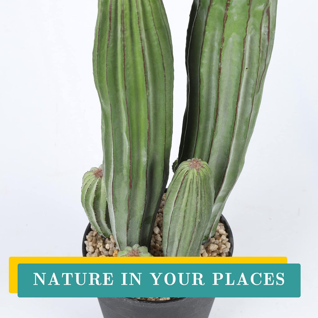 Artificial Cactus Fake Cacti 24" Faux Potted Cactus Plants for Home Store Office Decoration