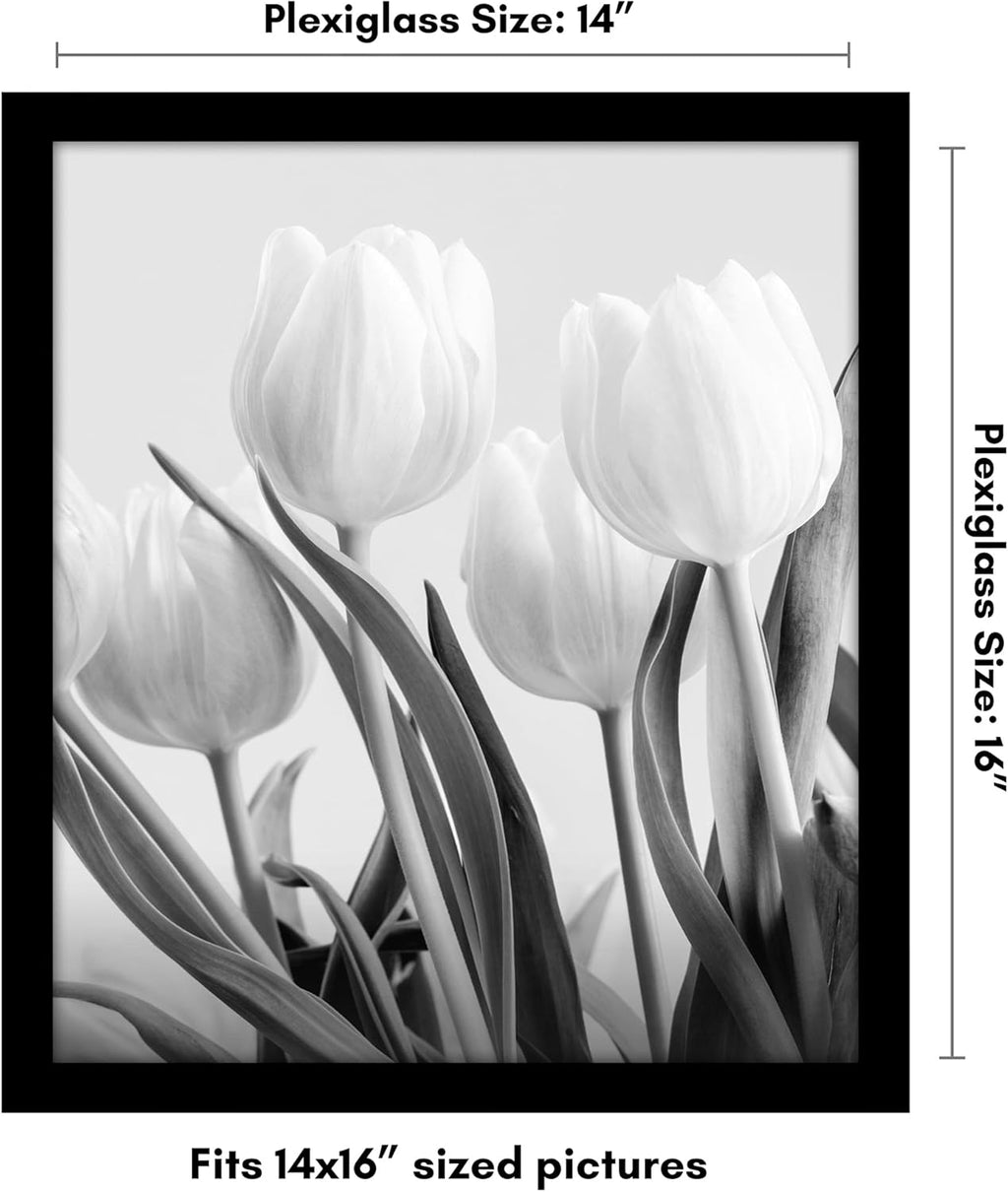 Americanflat 14x16 Picture Frame with Polished Plexiglass - Black Picture Frame - Wide Photo Frames Made of Engineered Wood for Vertical or Horizontal Wall Display - Epic Collection - Black