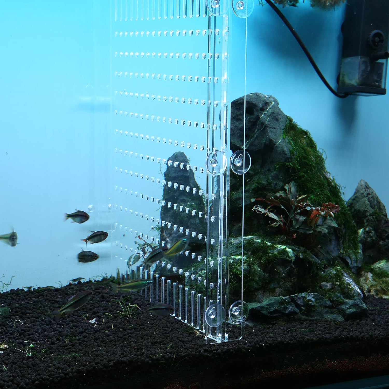 Aquarium Divider Clear 10/15/20 Gallon Fish Tank Divider with Suction Cups (15/20 Gallon)