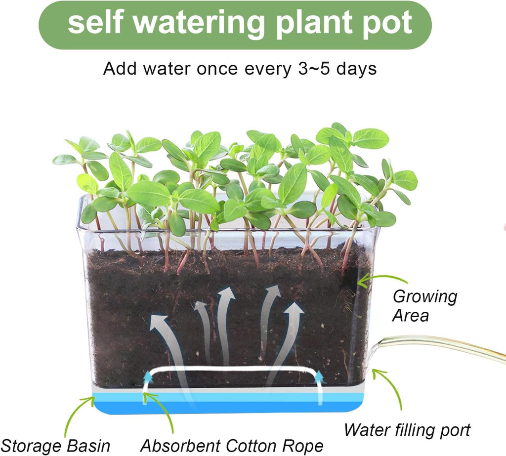 Self Watering Planters - 4 Pack Rectangular Clear Plant Pots with Drainage Holes for Indoor Plants
