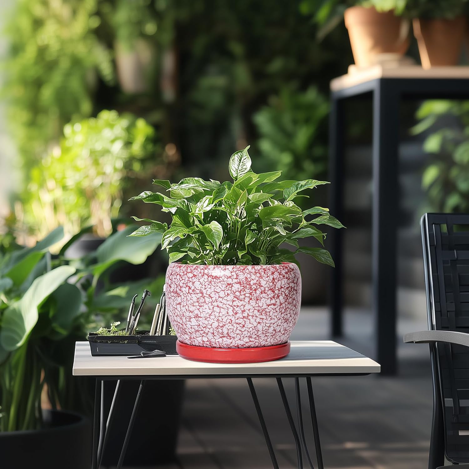 SQOWL Ceramic Pots for Plants - 8 inch Indoor Planter with Drainage Hole and Tray, Ceramic Flower Pot Outdoor, Round Decorative Planter, Bedroom Decor, Gifts for Plant Lovers, Red and White