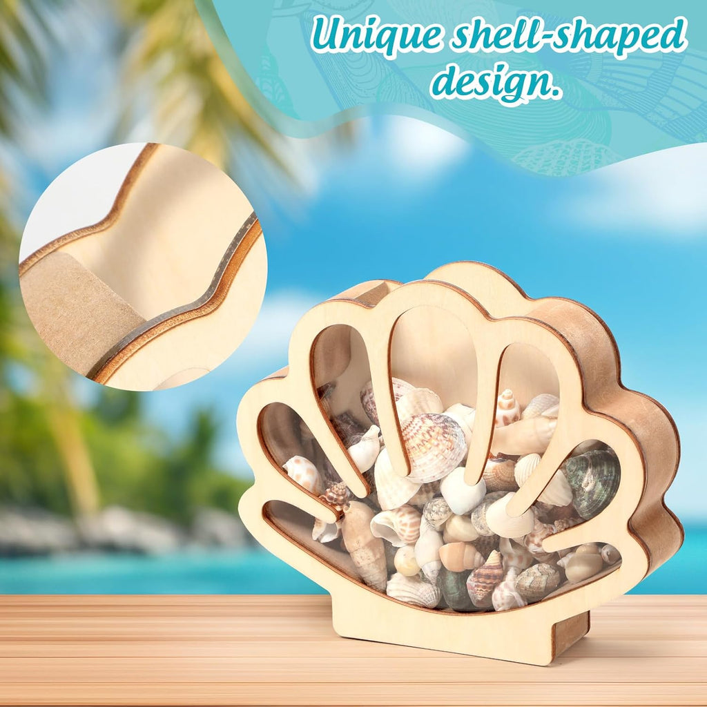 Xylolfsty Seashell Display Box Wooden Seashell Holder with Acrylic Panel Storage Box for Shells Sea Glass Small Starfish Shark Tooth Seashell Collection Box Home Decor Christmas Gift Birthday Present
