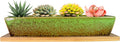 ARTKETTY Succulent Pots, 9.8 Inch Ceramic Succulent Planters with Drainage Small Bonsai Pot with Bamboo Tray, Mini Cactus Flower Planter Pot Shallow Rectangular Window Planters for Indoor Plants