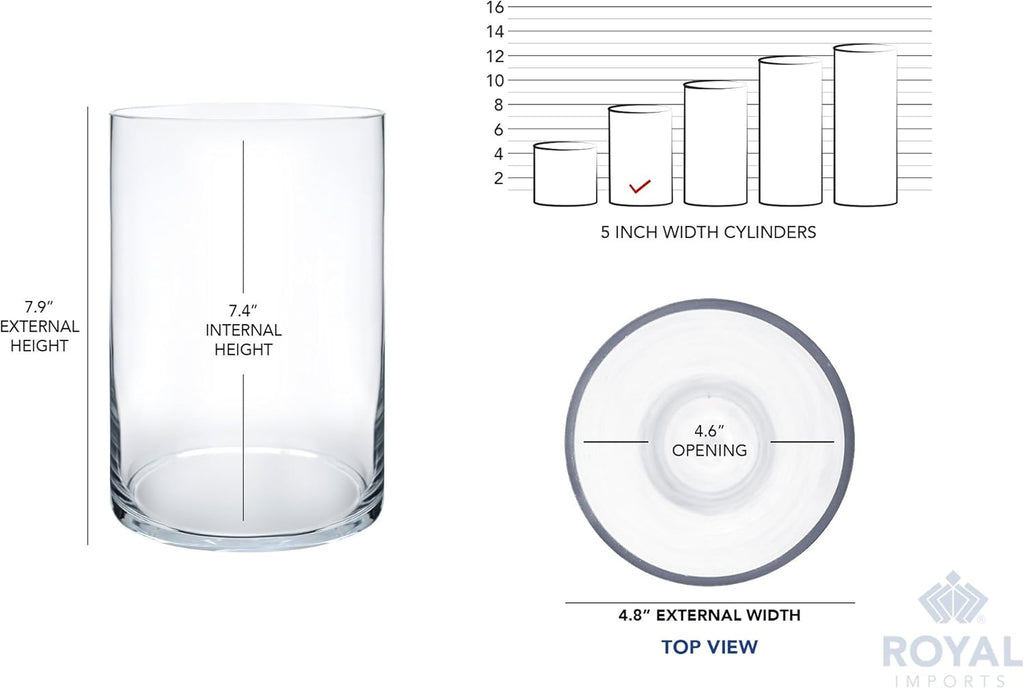 Royal Imports Flower Glass Vase Decorative Centerpiece for Home or Wedding - Cylinder Shape, 8" Tall, 5" Opening, Clear