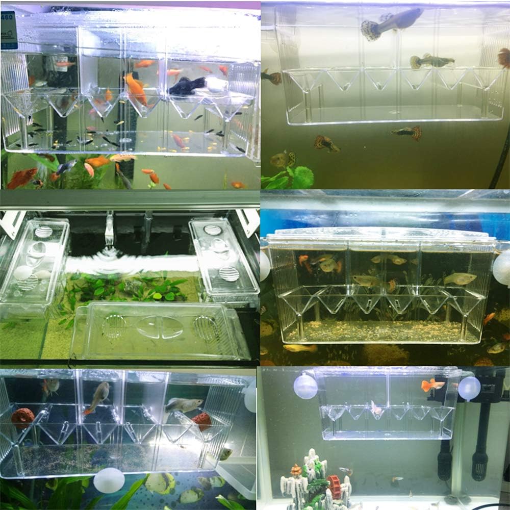 Tfwadmx Fish Breeding Box, 3 Rooms HD Aquarium Breeder Box with Suction Cups Hatchery Acrylic Fish Incubator Isolation with Artificial Plant for Guppy Hatchery