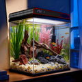 Coospider 5 Gallon Glass Fish Tank, Aquarium Starter Kit, Self-Cleaning Aquarium Kit with Ultra-Quiet Filter Pump, 3-Color LED Lights, Temp Monitoring for Fish, Shrimp, Kids Gift Idea