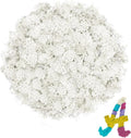 3.5 OZ White Reindeer Moss, Preserved Moss for Plants, Moss Decor, Green Moss for Crafts, Moss for Potted Plants, Craft Decorative Moss Decor, Dried Moss
