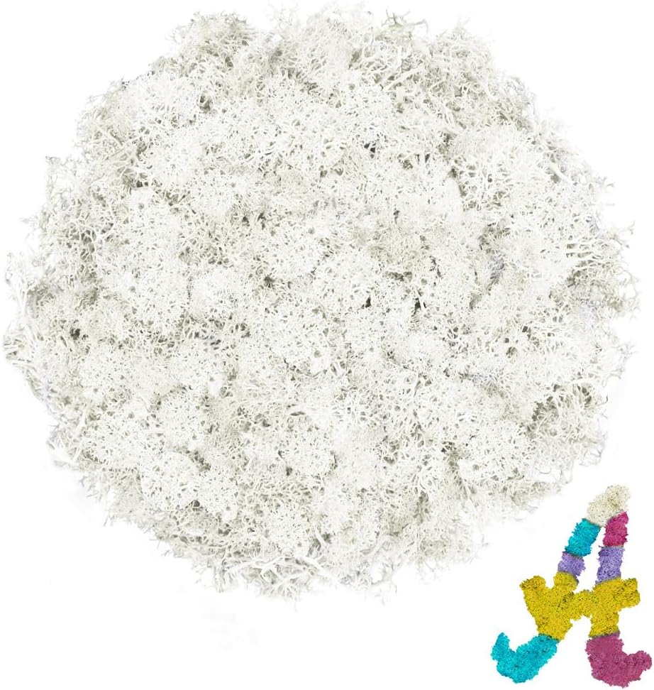 3.5 OZ White Reindeer Moss, Preserved Moss for Plants, Moss Decor, Green Moss for Crafts, Moss for Potted Plants, Craft Decorative Moss Decor, Dried Moss