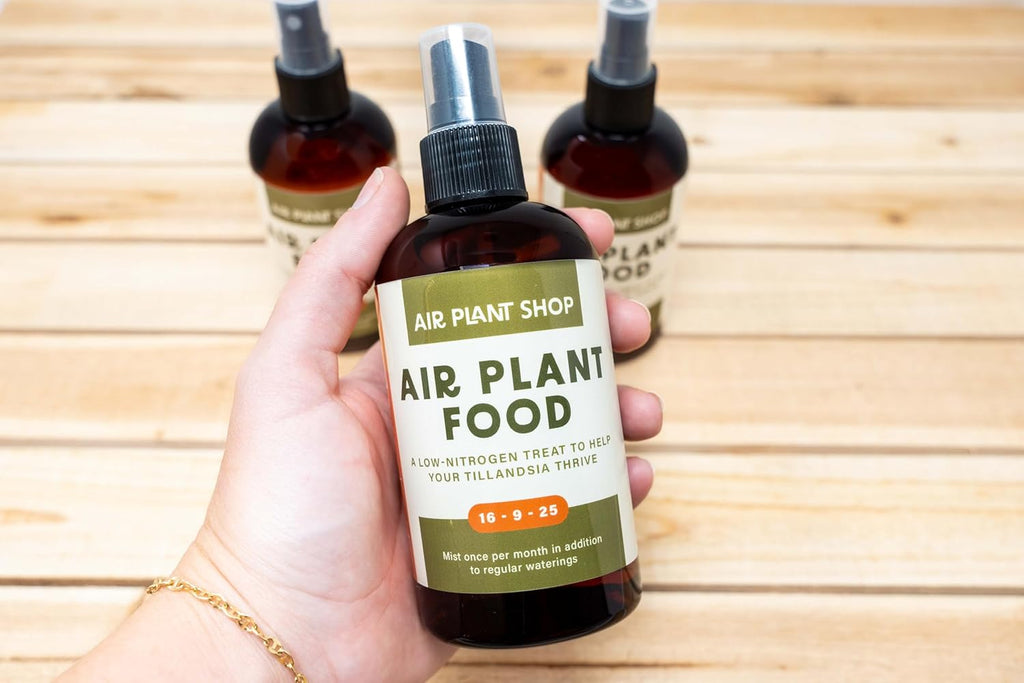 Air Plants Fertilizer in fine Mist Spray Bottle – Plant Food for Tillandsia - Monthly use for Growth of House Plants (12 Pack - 8 OZ)