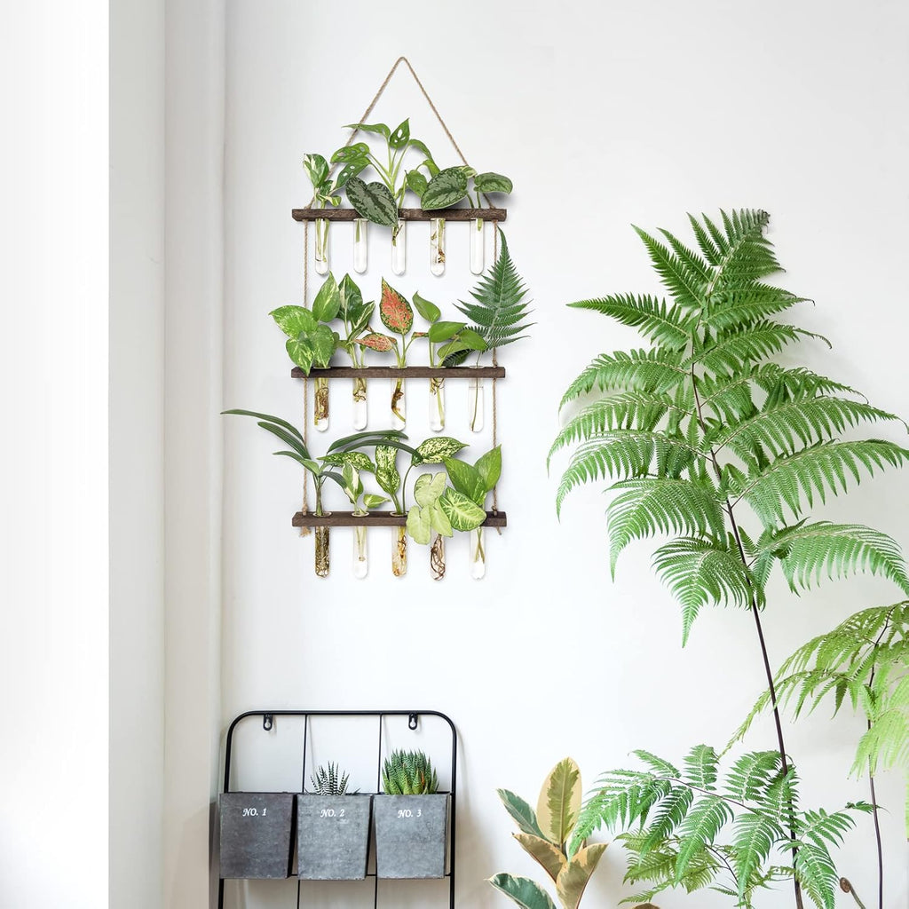 Mkono Plant Propagation Tubes, 3 Tiered Wall Hanging Terrarium with Wooden Stand Mini Test Tube Flower Vase Glass Planter Stations for Hydroponic Cutting Home Garden Office Decor Plant Lover Gift