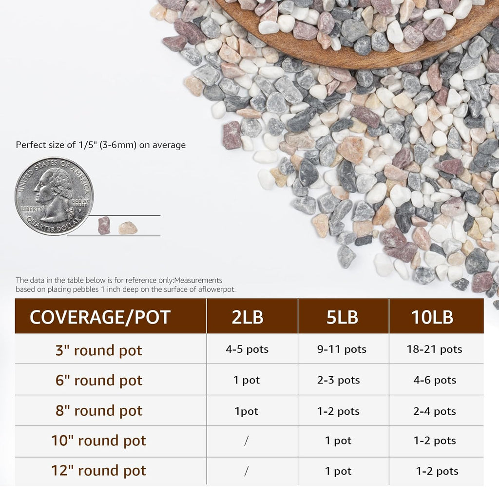 Natural Mixed Color Pea Gravel Pebbles, 10lbs (1/5 Inch) Decorative Stones for Succulents, Indoor Plants, Vases, Aquariums, Top Dressing, and Outdoor Landscaping