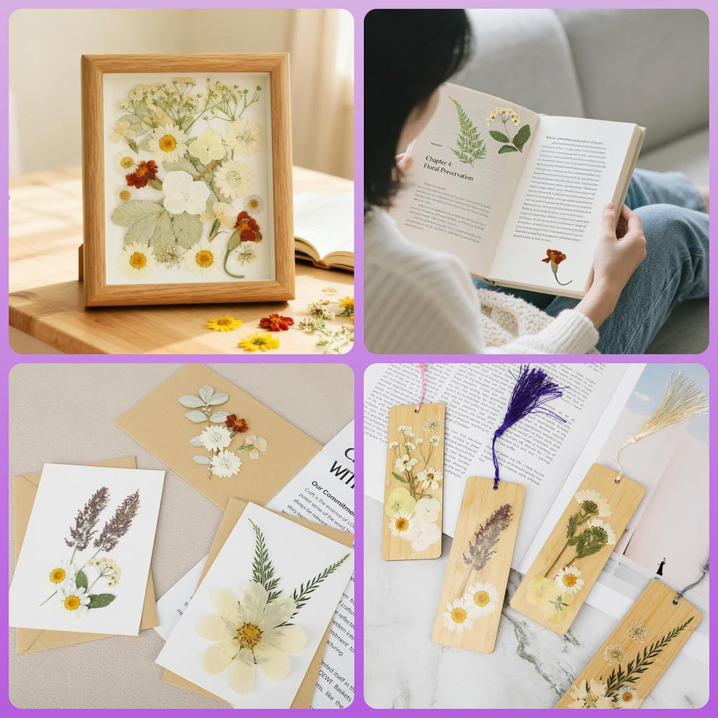NESCCI 247 Pcs Dried Flowers for Crafts,Real Natural Dried Pressed Flowers in Soft Yellow & White Tones for Resin,Used for Scrapbooking DIY Art Crafts Candle Soap Making Nails Décor