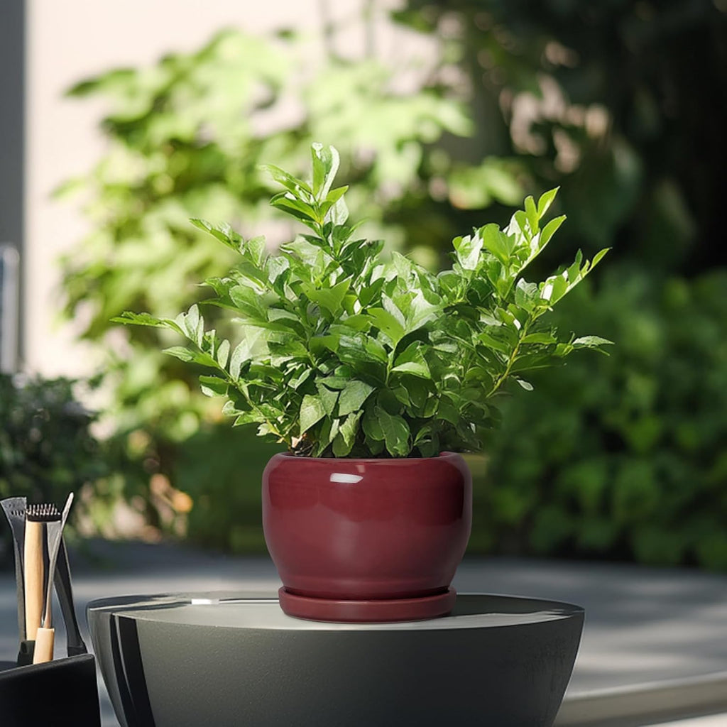 SQOWL 6 Inch Plant Pot - Ceramic Planter for Indoor Plants Outdoor, Round Planter with Drainage Hole and Saucer, Decorative Modern Small Flower Pots, Room Decor, Gifts for Plant Lovers, Red